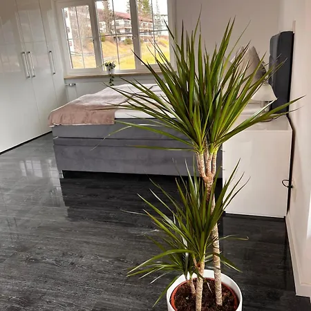 Lägenhet In Der Leite Oberstdorf